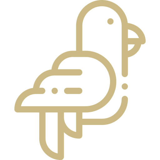 bird icon