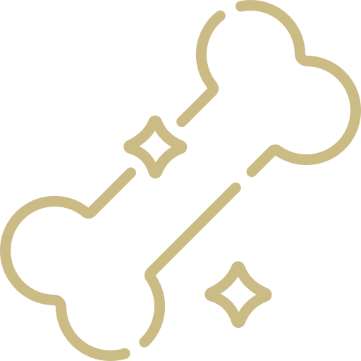 dog bone