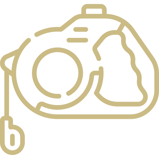 dog leash icon