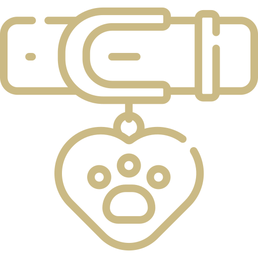 icon of dog collar