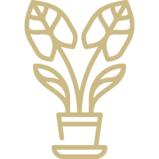 plant icon