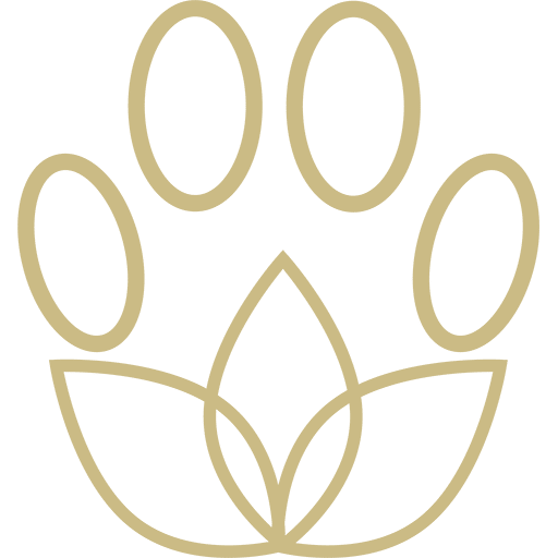 Pawzitive-Pet-Care-favicon icon