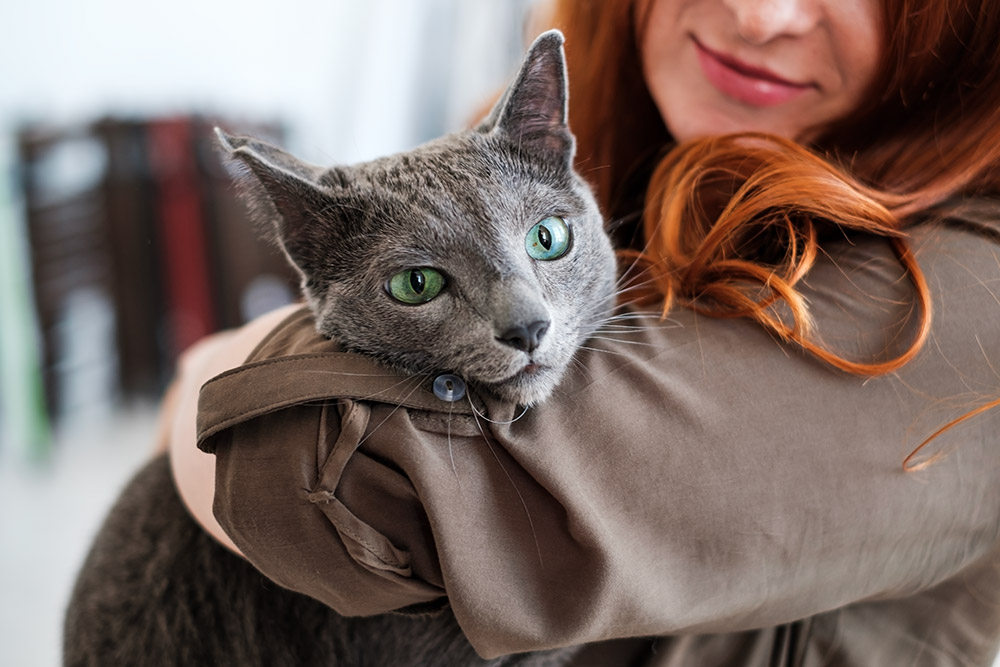 pet sitter holding happy cat